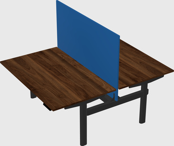 Shared electric desk