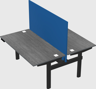 Shared electric desk