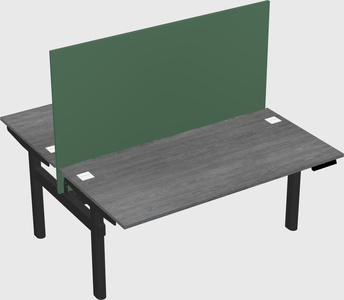 Shared electric desk