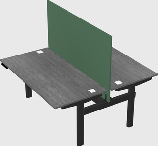 Shared electric desk