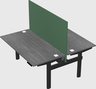 Shared electric desk