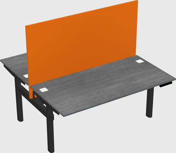 Shared electric desk