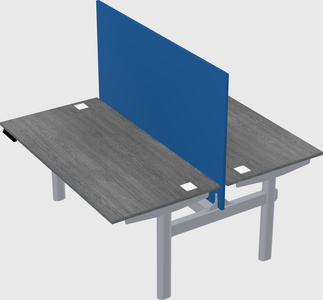 Shared electric desk
