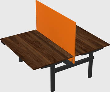 Shared electric desk