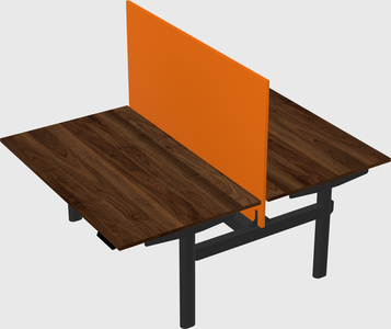 Shared electric desk
