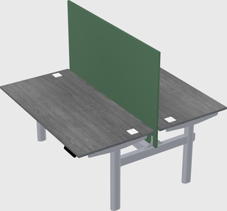 Shared electric desk