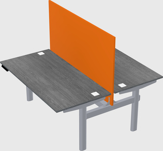 Shared electric desk