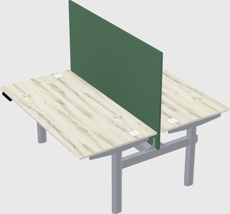 Shared electric desk
