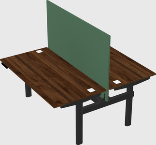 Shared electric desk