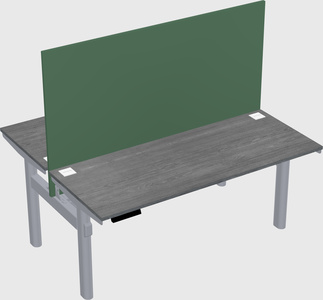 Shared electric desk