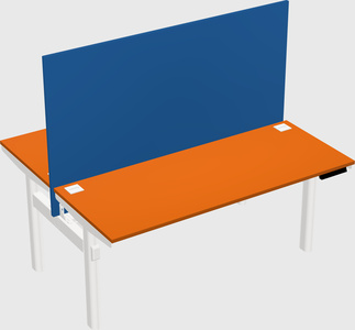 Shared electric desk