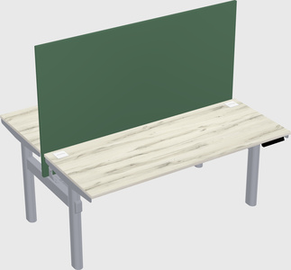 Shared electric desk