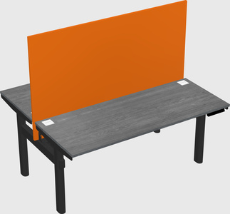 Shared electric desk