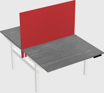 Shared electric desk