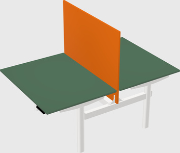 Shared electric desk