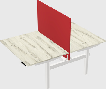 Shared electric desk