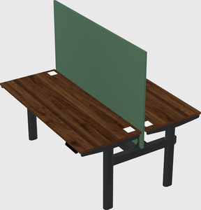 Shared electric desk