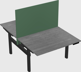 Shared electric desk