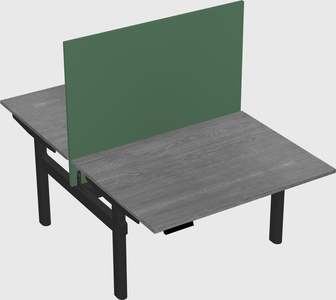 Shared electric desk