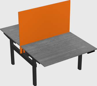 Shared electric desk