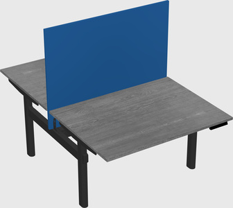 Shared electric desk