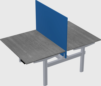 Shared electric desk