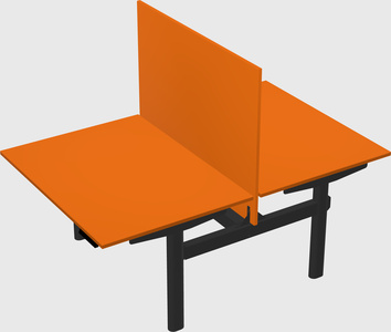 Shared electric desk