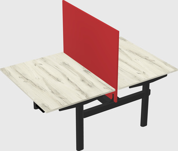 Shared electric desk