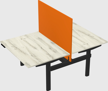Shared electric desk