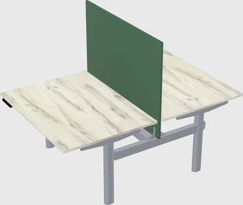 Shared electric desk