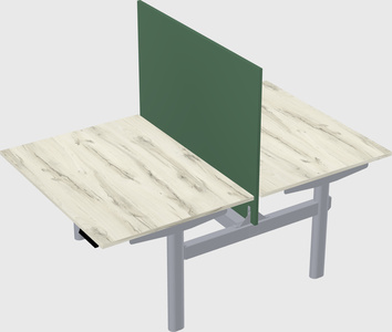 Shared electric desk