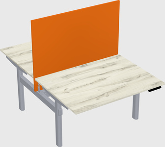 Shared electric desk