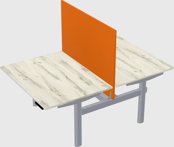 Shared electric desk