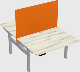 Shared electric desk
