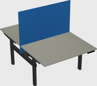 Shared electric desk