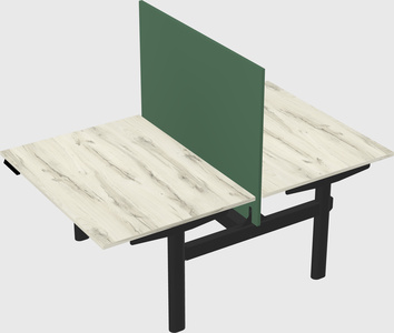 Shared electric desk