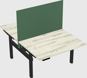 Shared electric desk