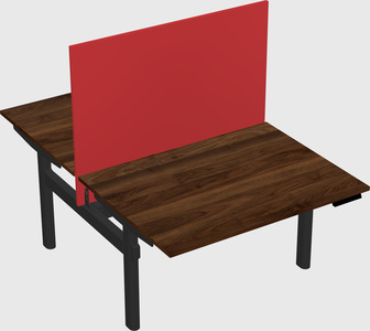 Shared electric desk