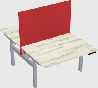 Shared electric desk