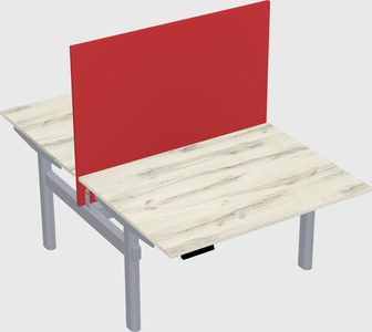 Shared electric desk