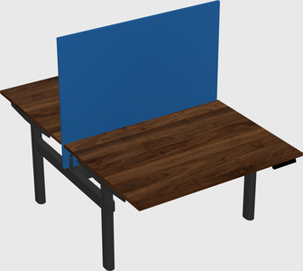 Shared electric desk