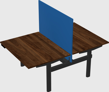 Shared electric desk