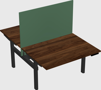 Shared electric desk