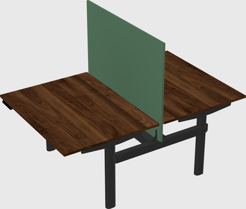 Shared electric desk