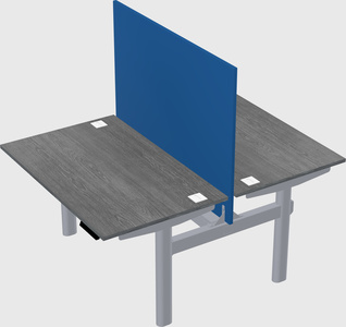 Shared electric desk