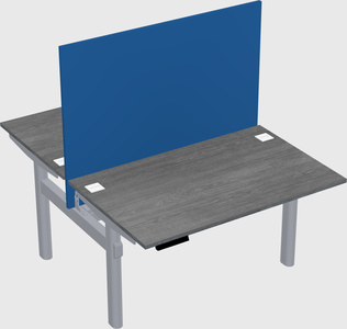 Shared electric desk