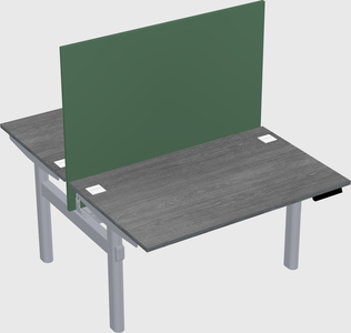 Shared electric desk