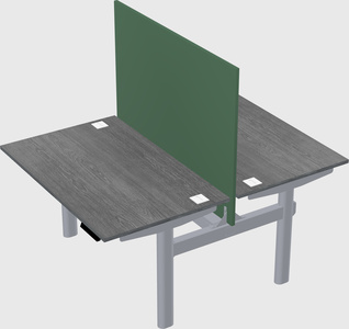 Shared electric desk