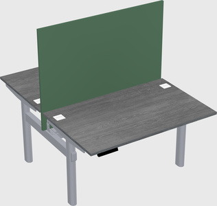 Shared electric desk