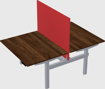 Shared electric desk
